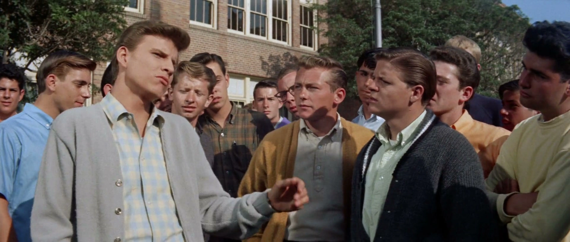 Bye Bye Birdie screenshot 1