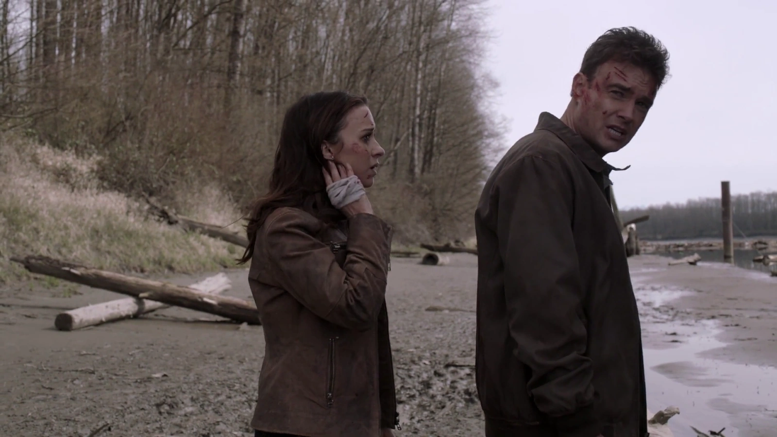 Scarecrow screenshot 5