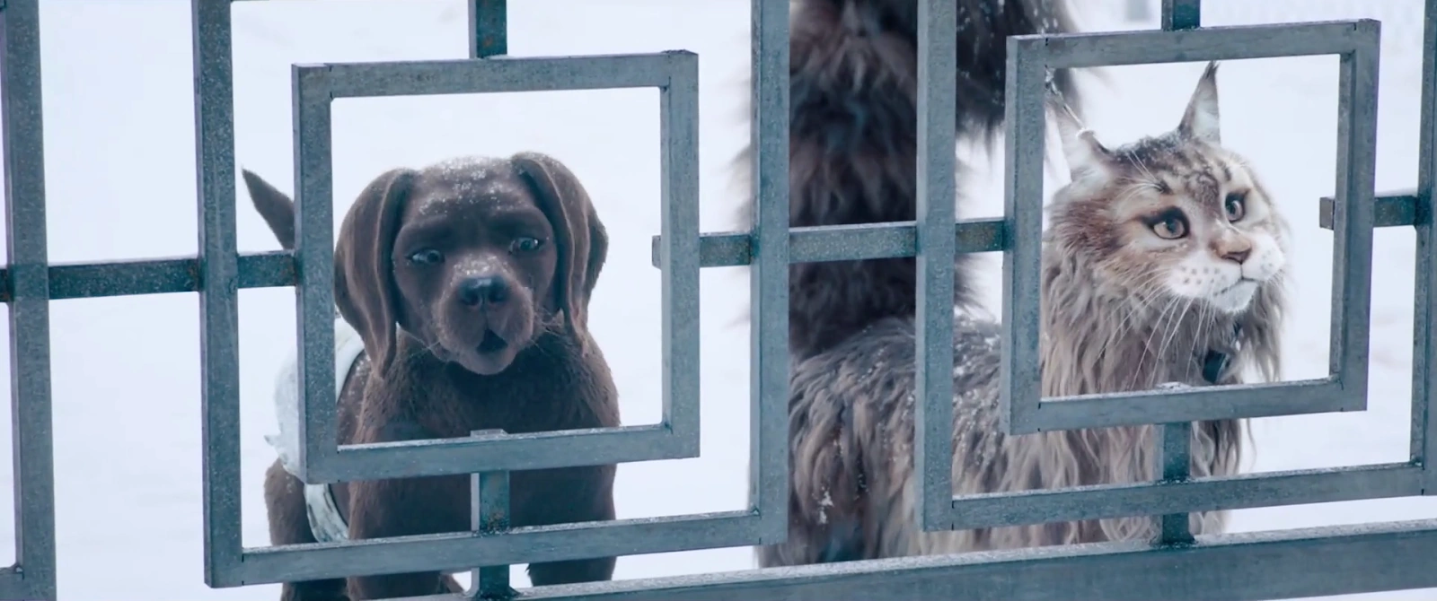 Cat and Dog screenshot 2