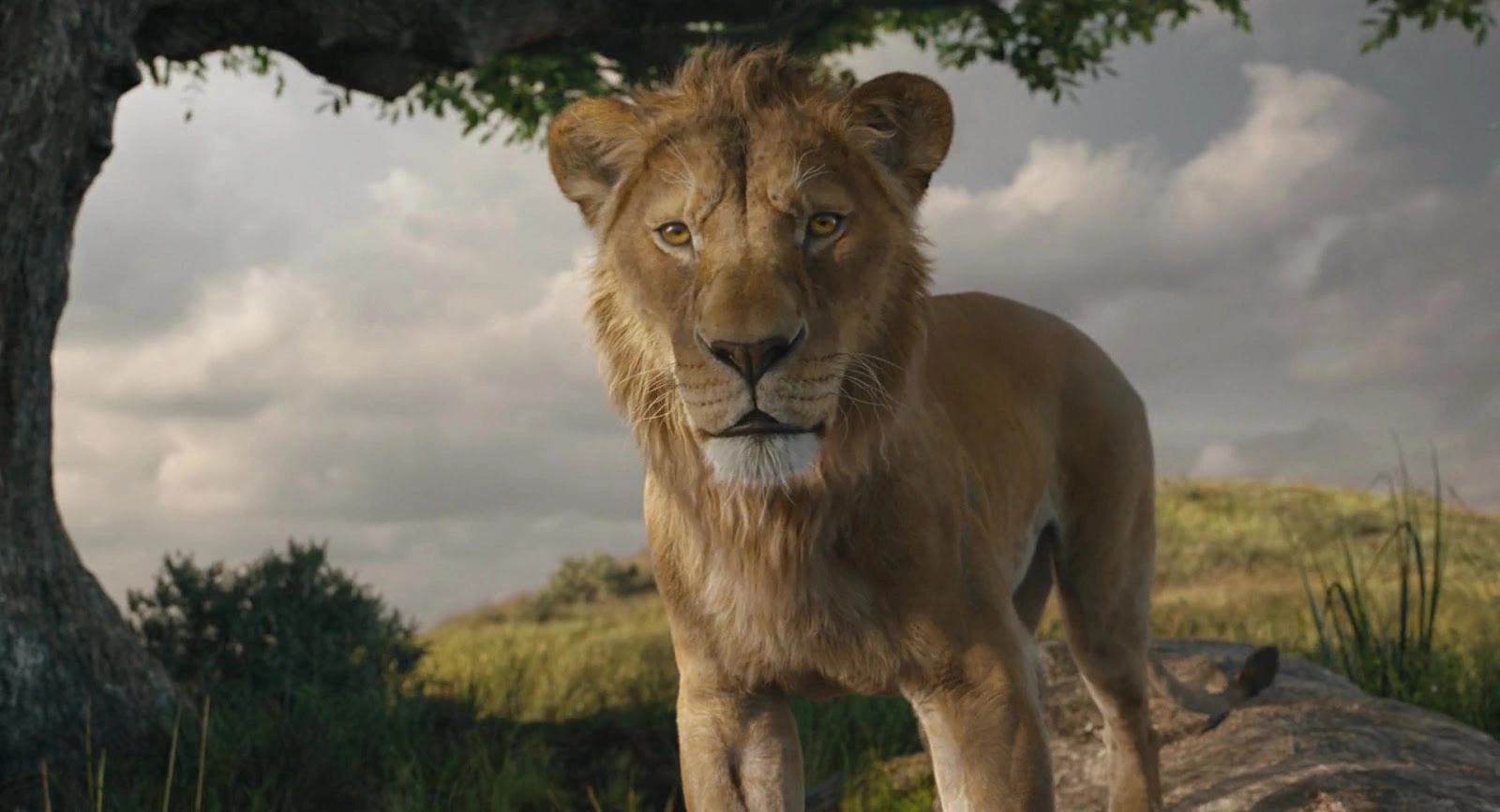 Mufasa: The Lion King screenshot 2