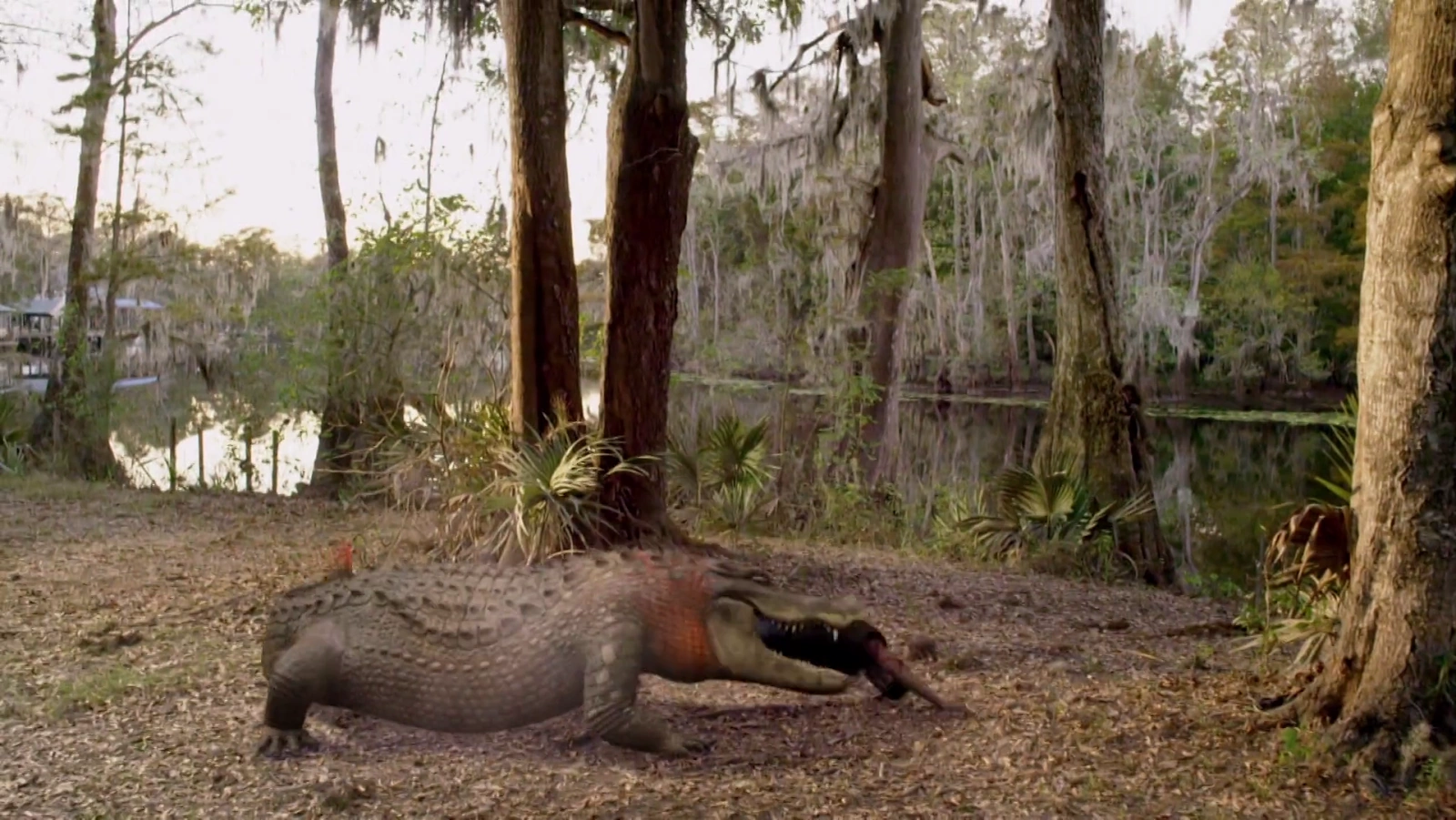 Ragin Cajun Redneck Gators screenshot 3