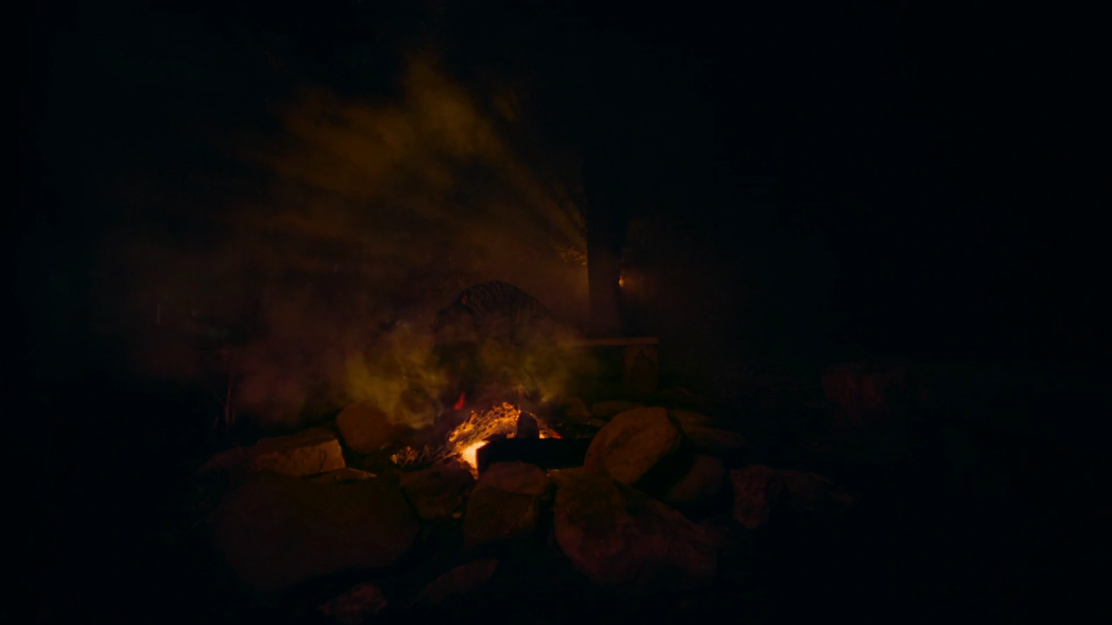 CAMP screenshot 3