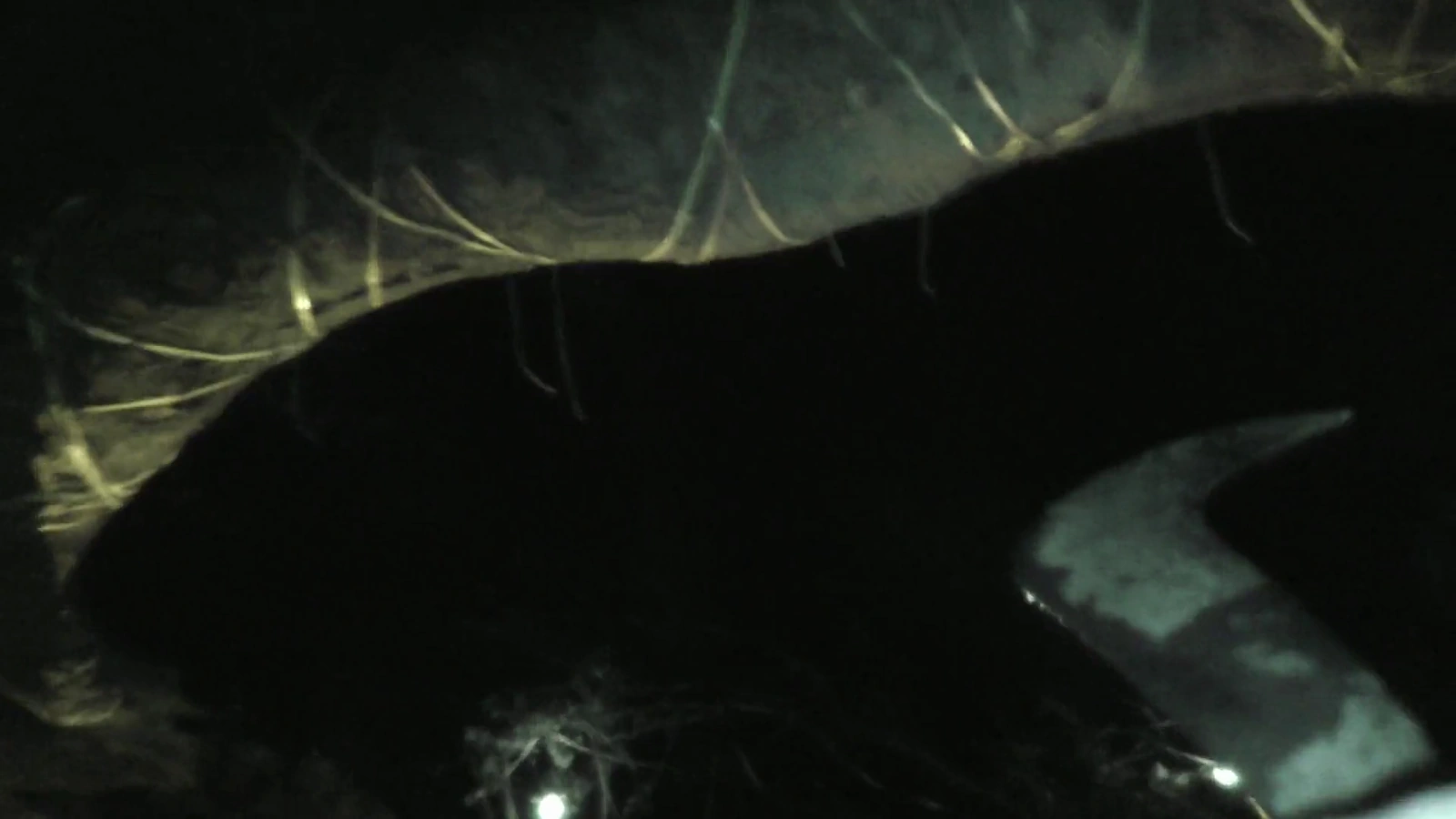Crone Wood screenshot 1