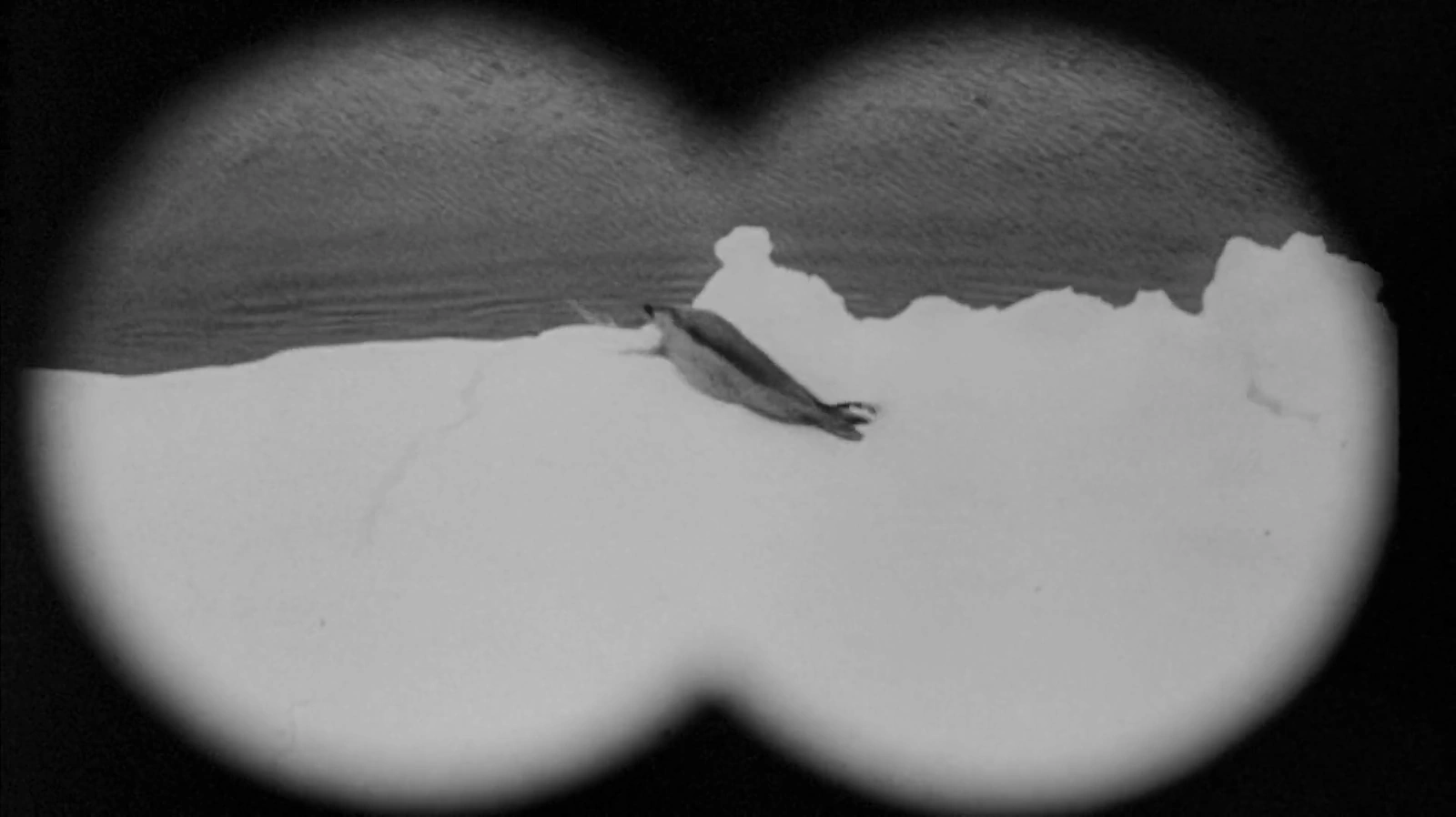 The Bedford Incident screenshot 2