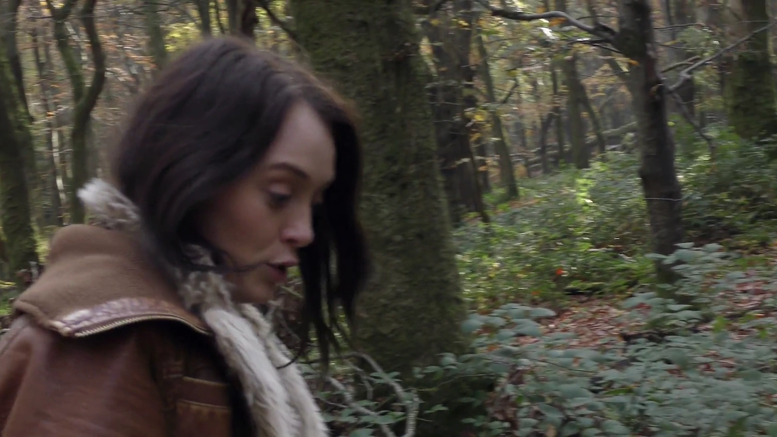 Crone Wood screenshot 4