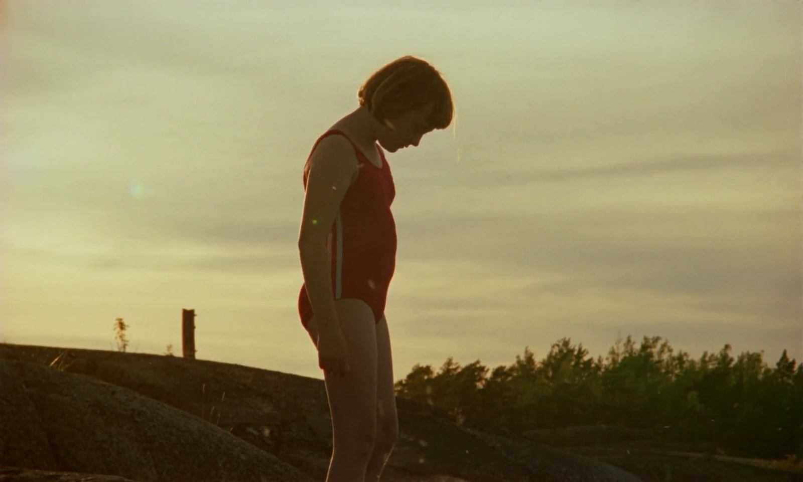 The Summer Book screenshot 5