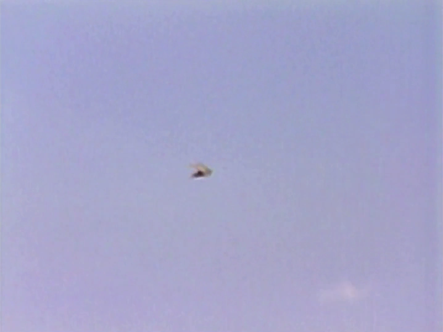 500 Days of Escobar screenshot 2