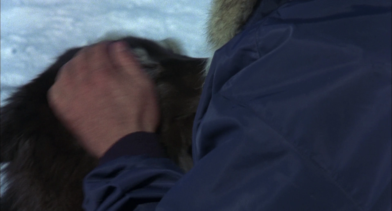 Antarctica screenshot 5