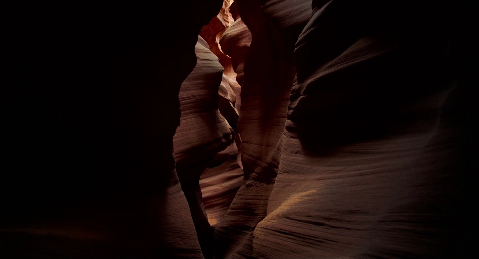 Voyage of Time: Life's Journey screenshot 2