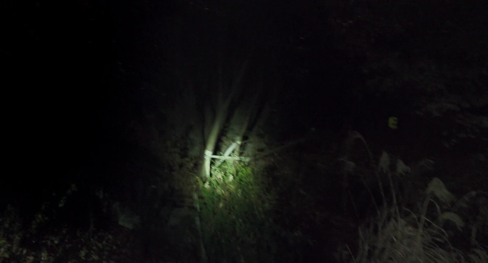 Gonjiam: Haunted Asylum screenshot 3