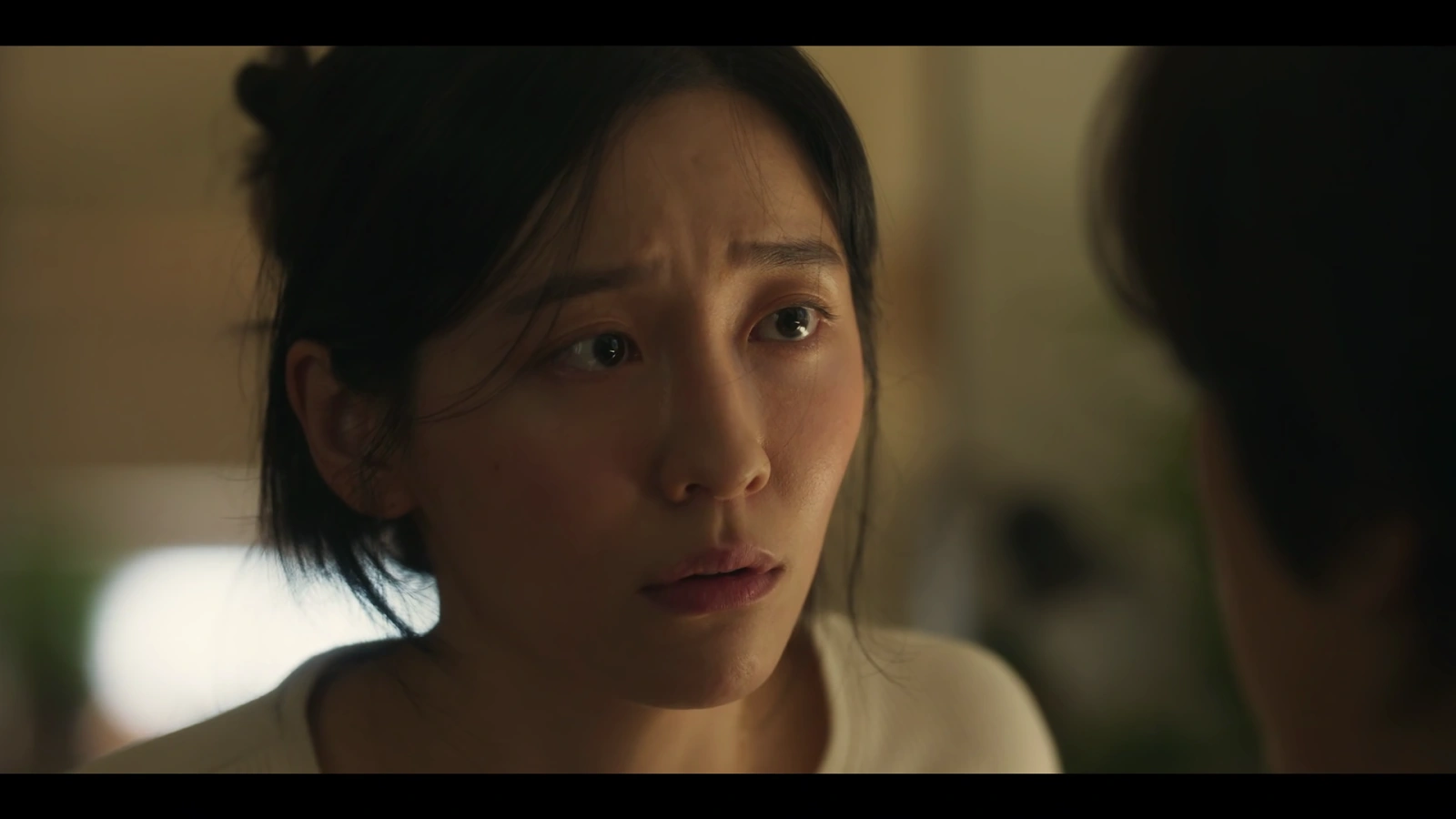 Hidden Face screenshot 1