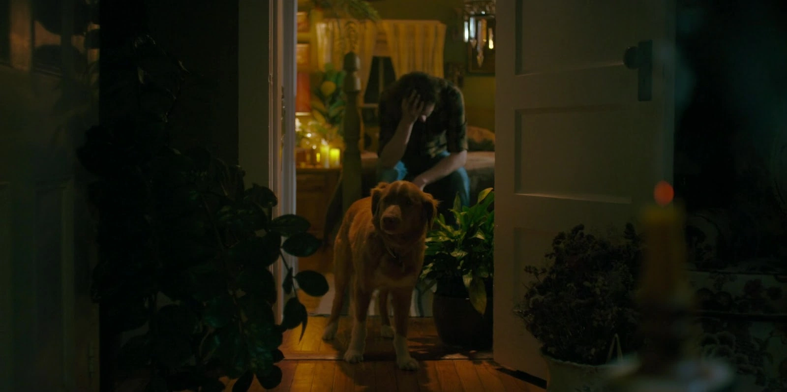 Good Boy screenshot 4