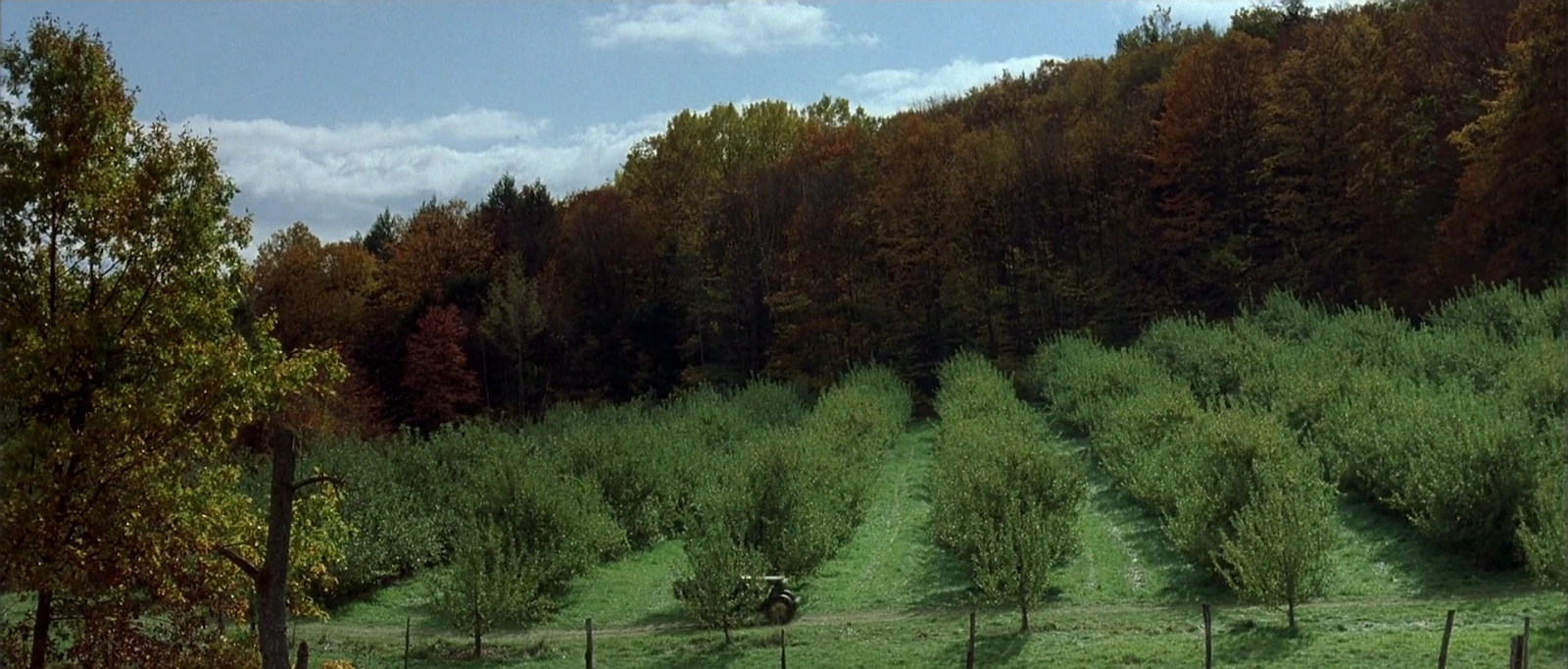 The Cider House Rules screenshot 4