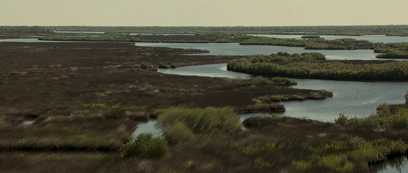 Wind Walkers screenshot 1