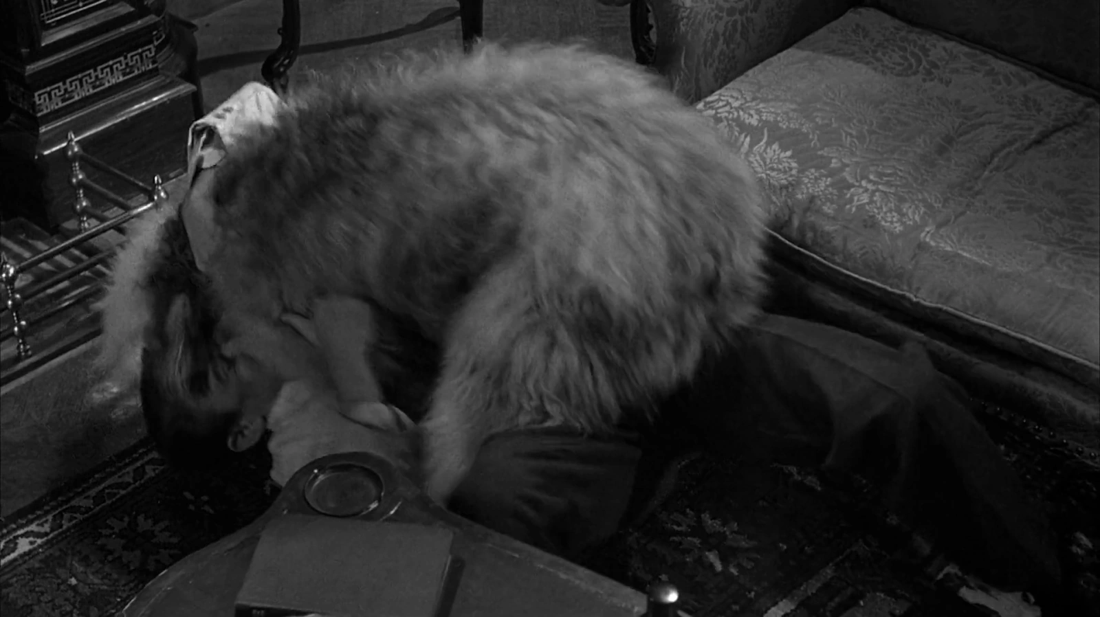 The Shaggy Dog screenshot 5