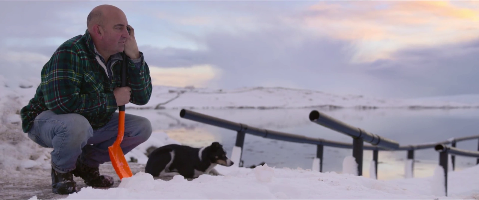 Billy & Molly: An Otter Love Story screenshot 4