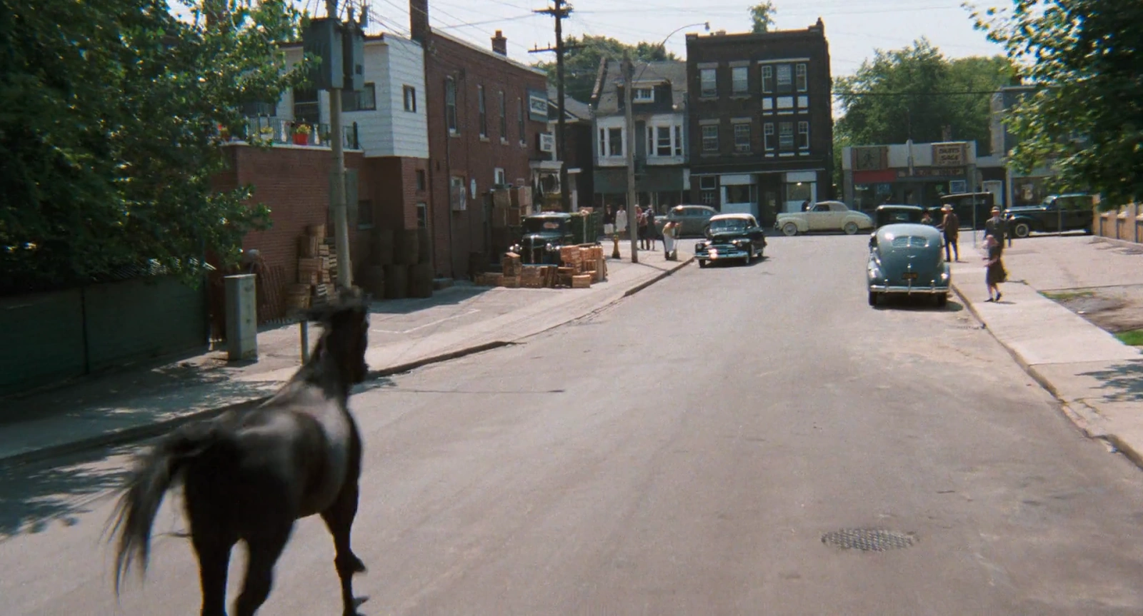 The Black Stallion screenshot 3