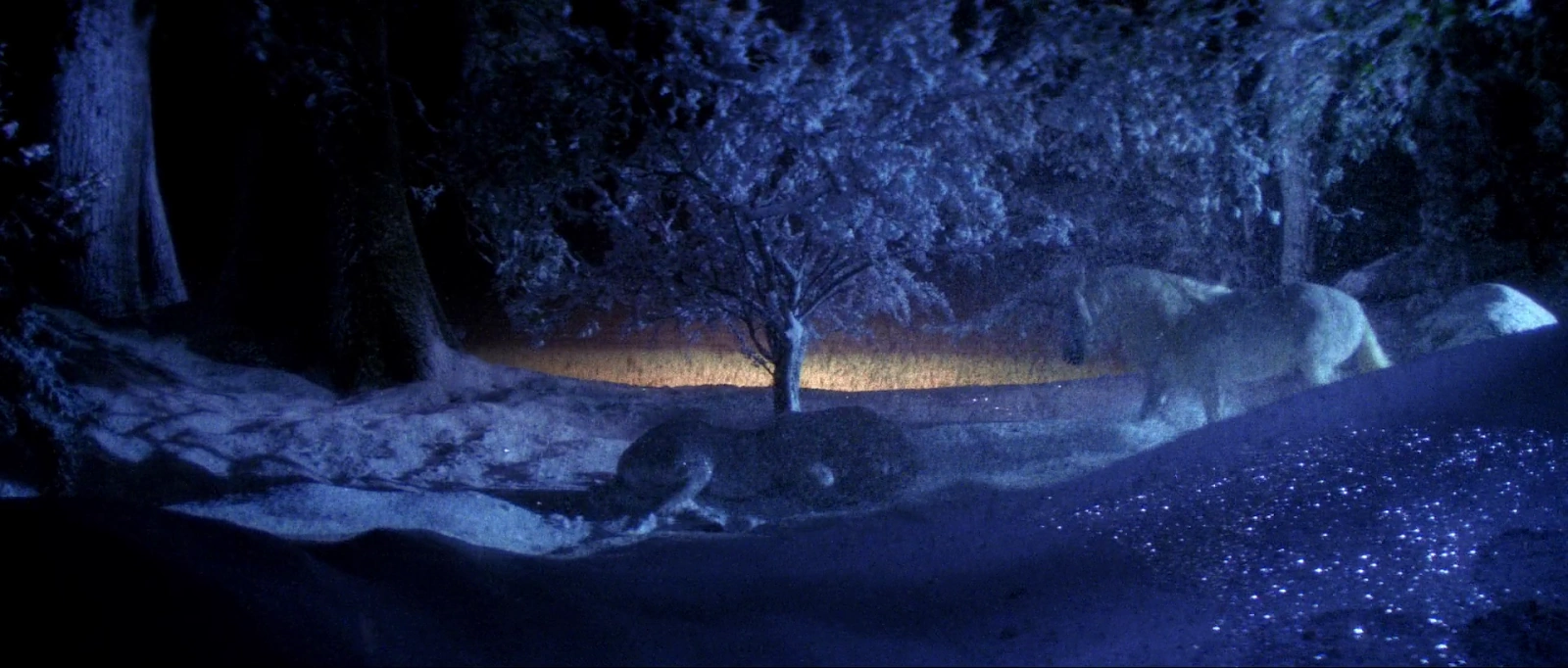 Legend screenshot 5
