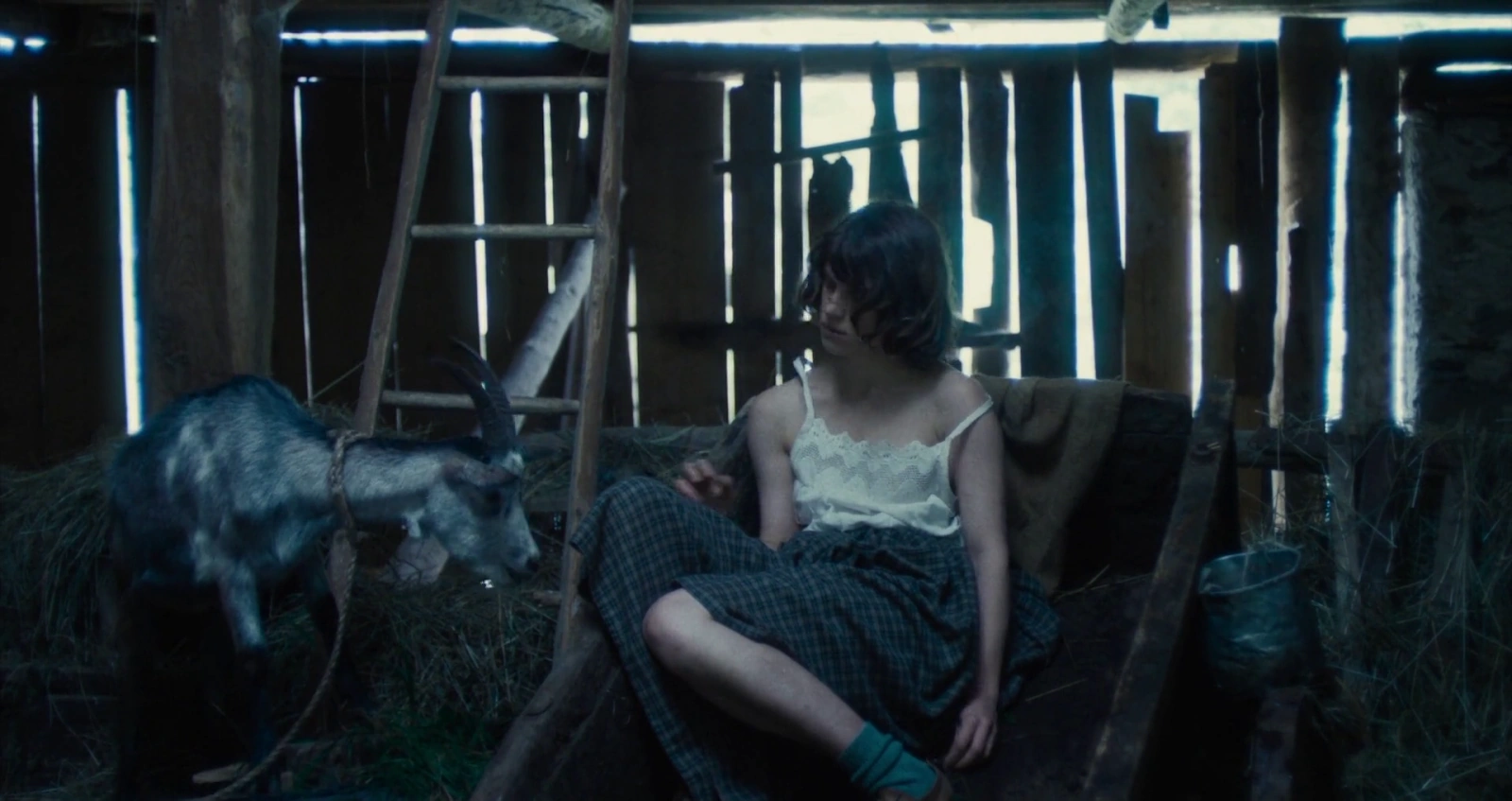 Vermiglio screenshot 1