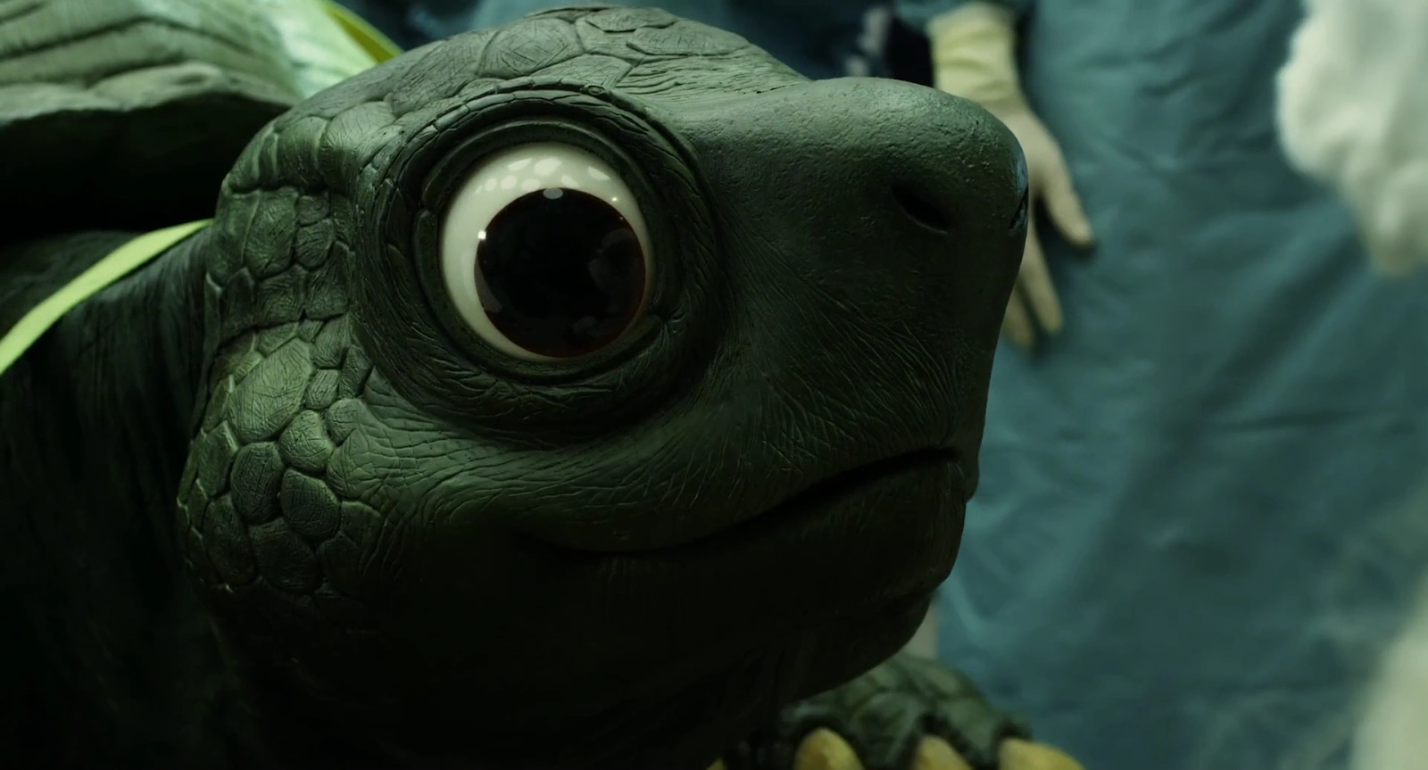 Love & Peace screenshot 4