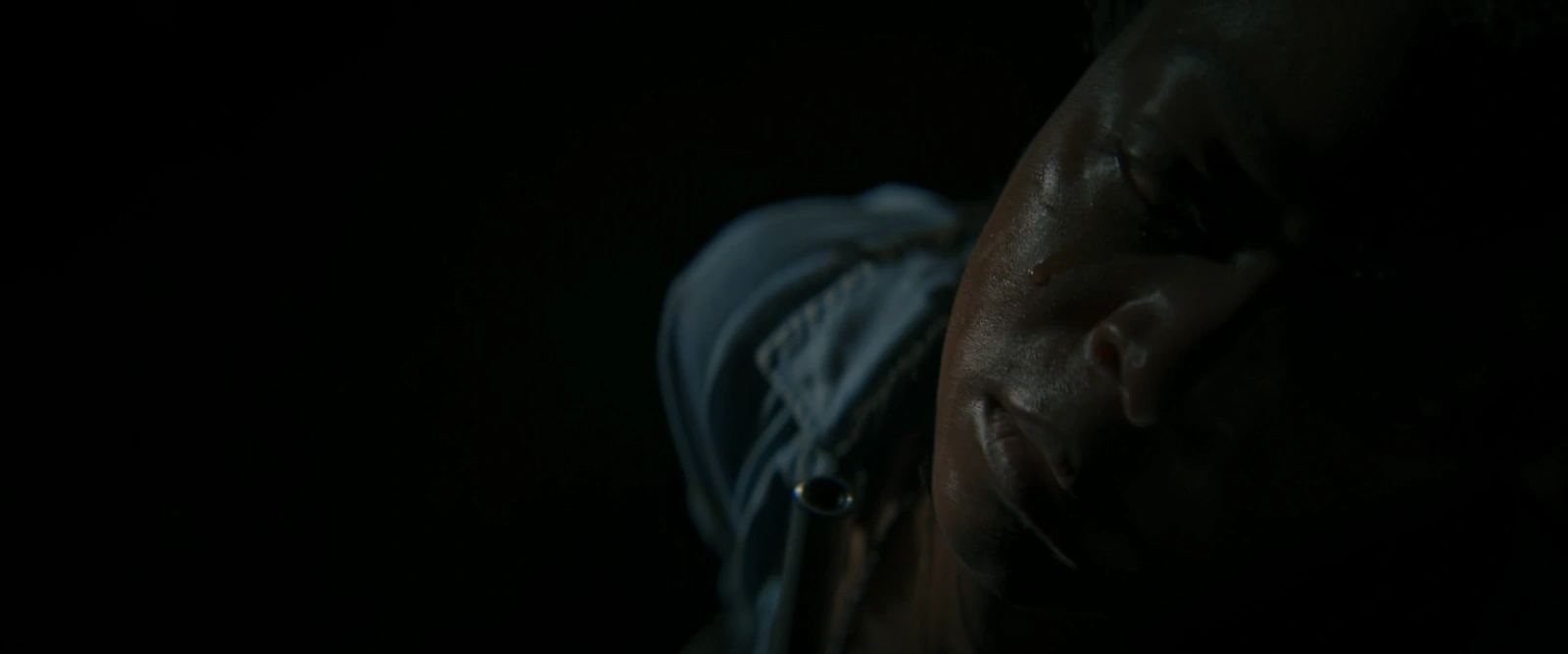 The Woman in the Yard screenshot 1