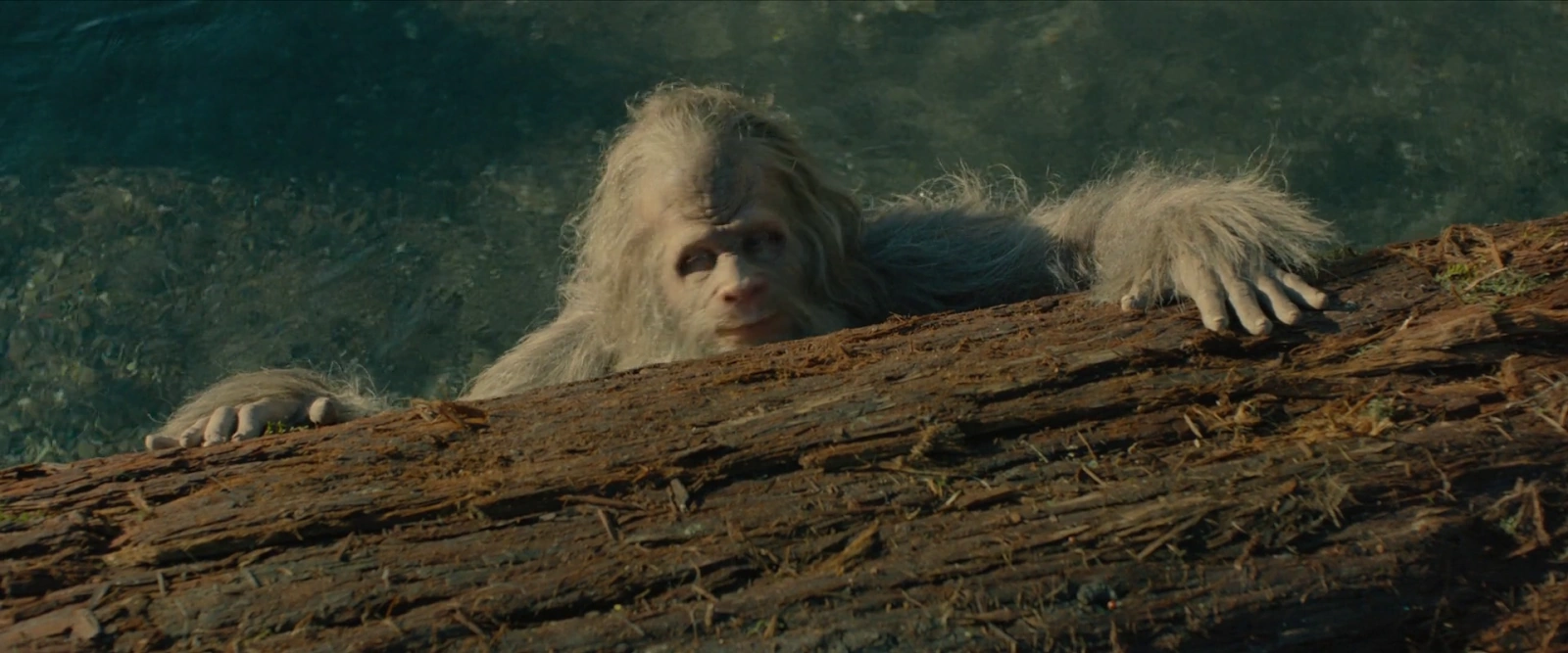 Sasquatch Sunset screenshot 3