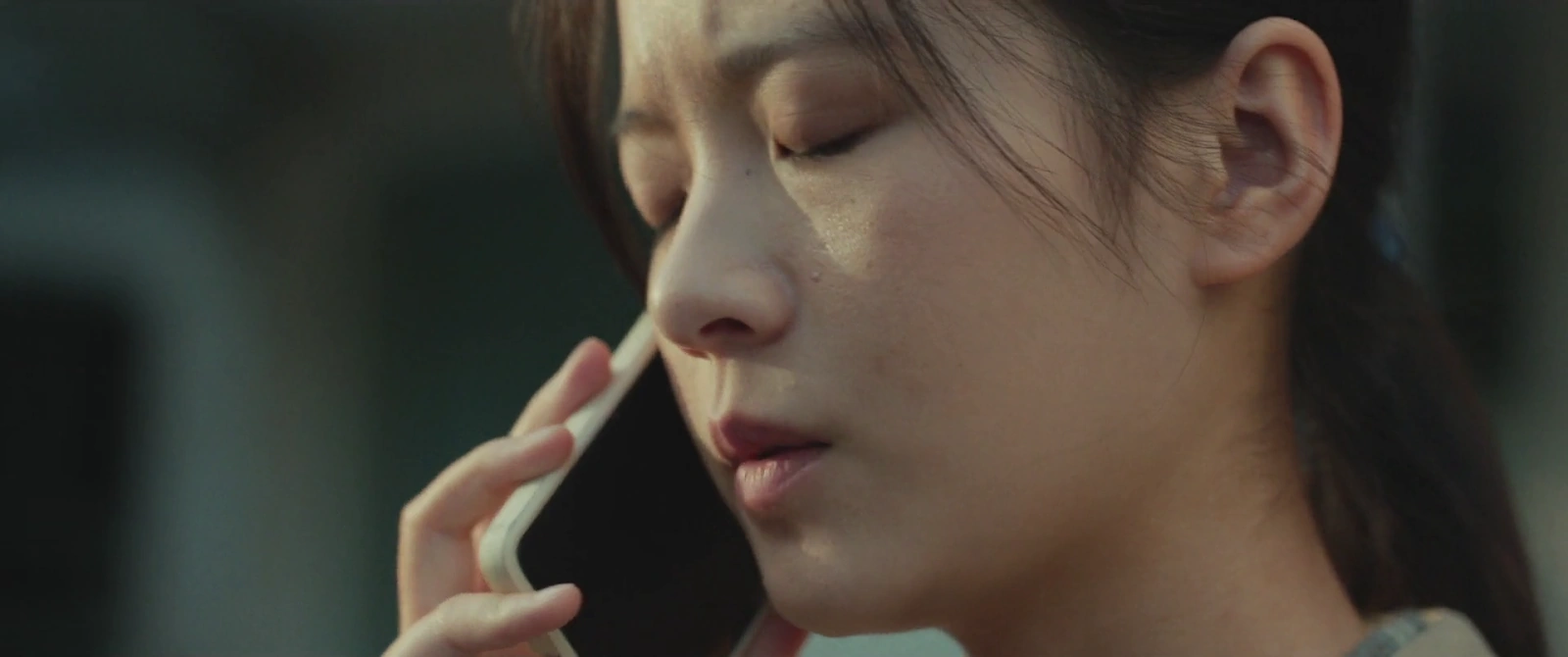 Viva La Vida screenshot 5
