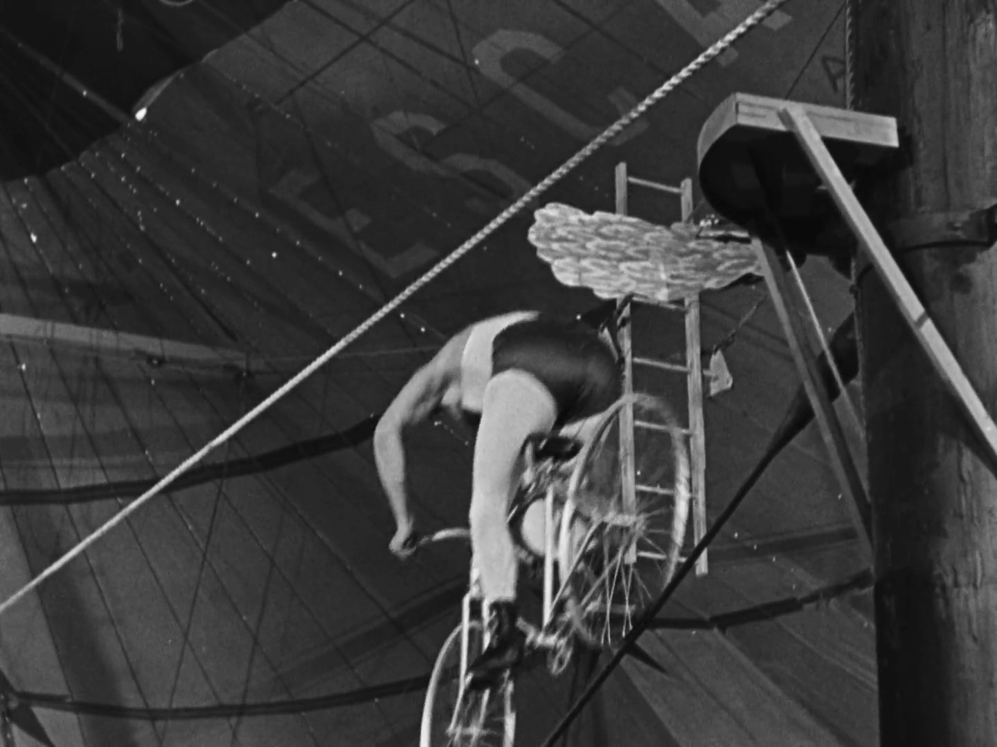 The Circus screenshot 4
