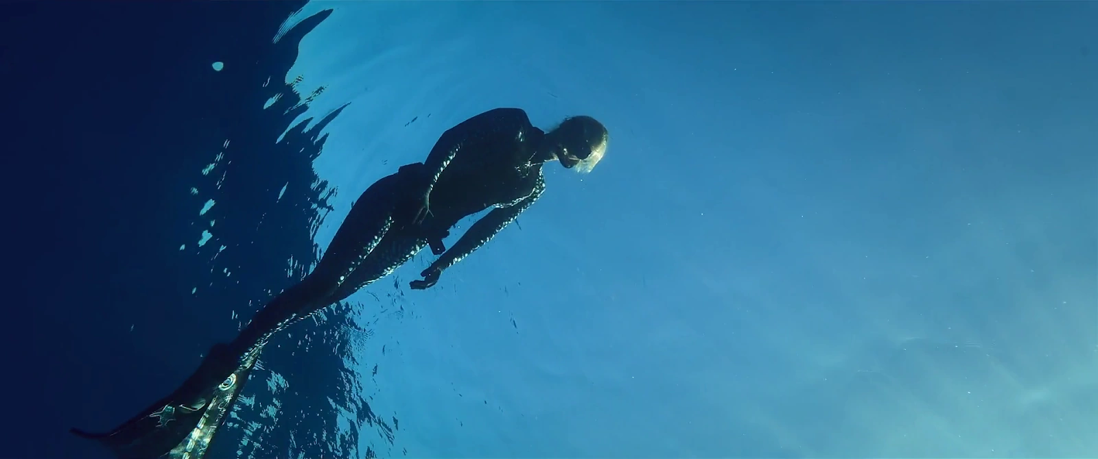 Shark Whisperer screenshot 2
