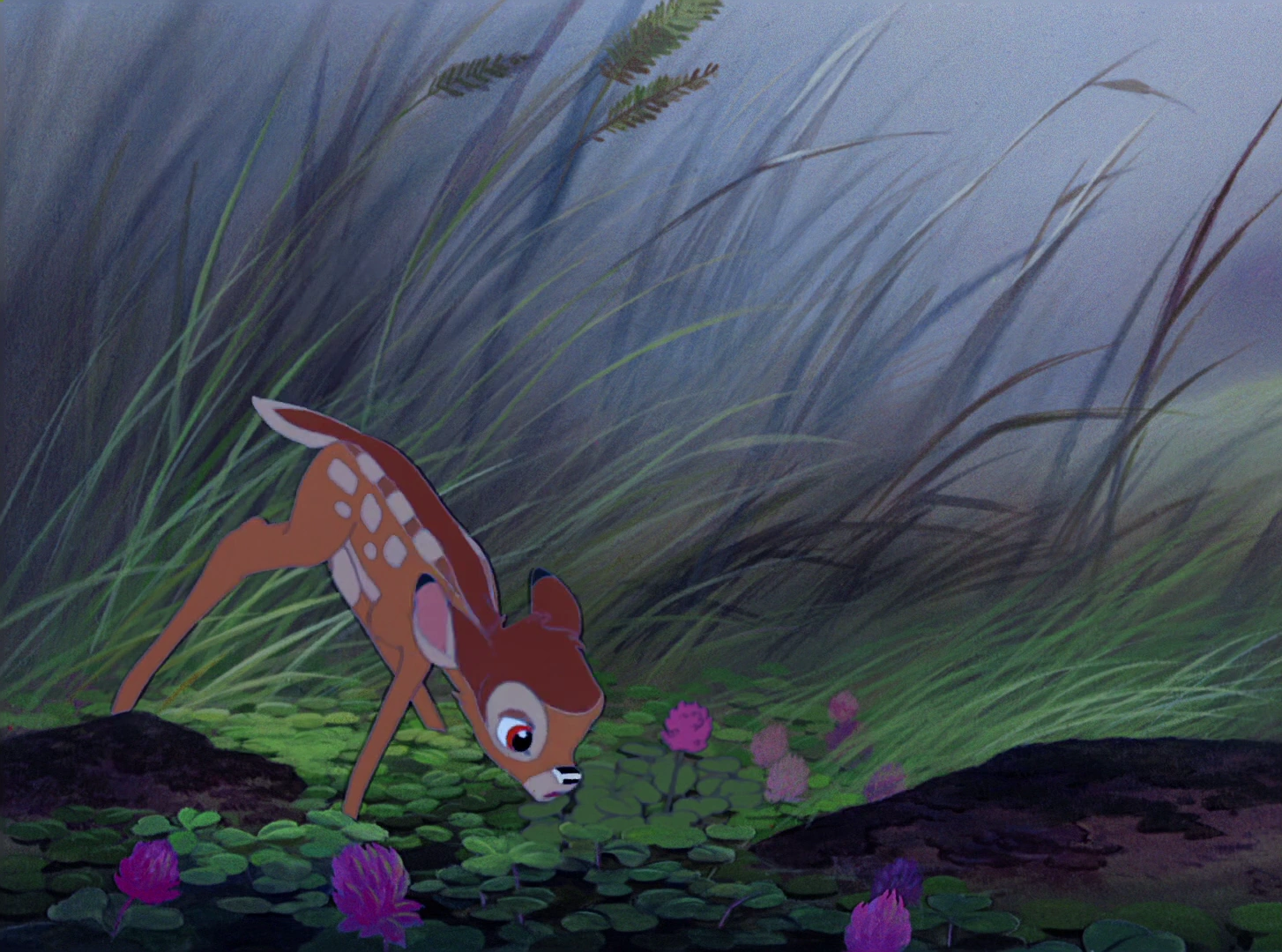 Bambi screenshot 5