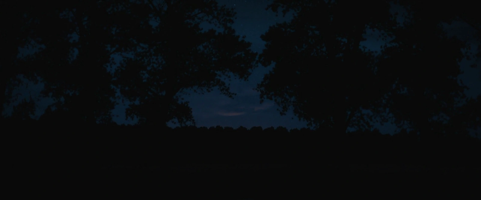 The Last Front screenshot 2