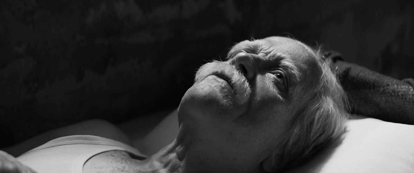 The Disappearance of Josef Mengele screenshot 4