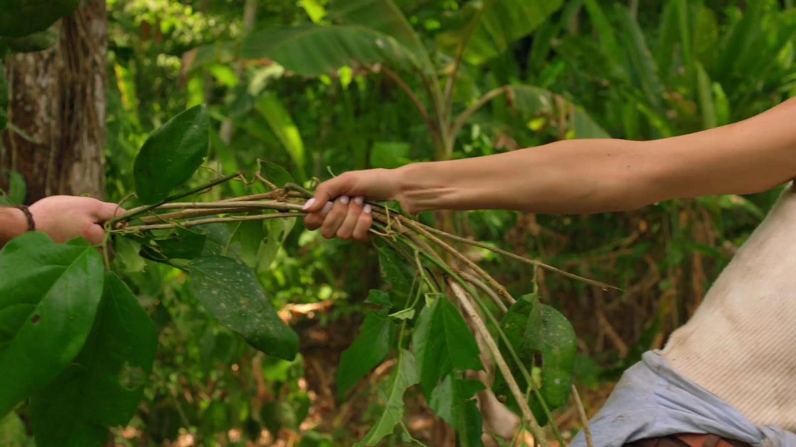 A Costa Rican Wedding screenshot 1
