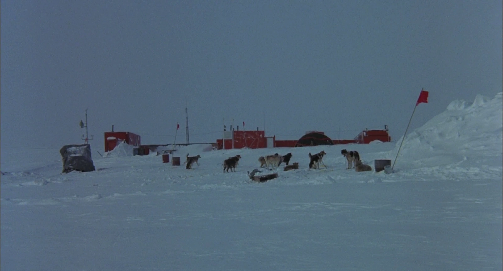 Antarctica screenshot 1