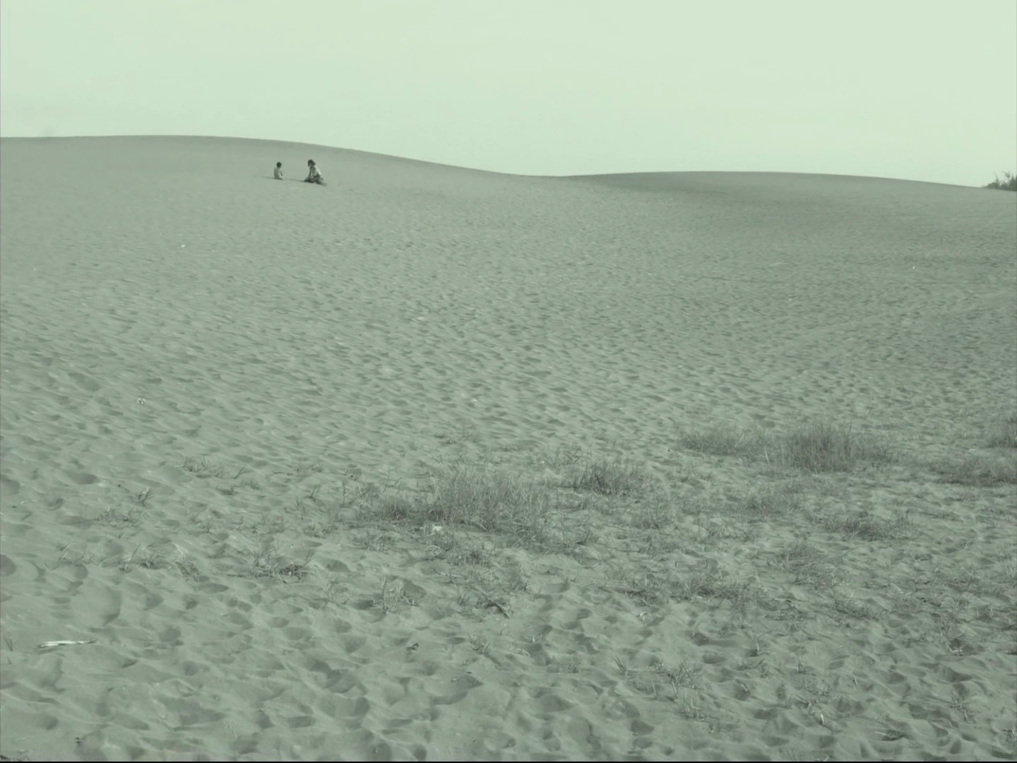 Siti screenshot 4