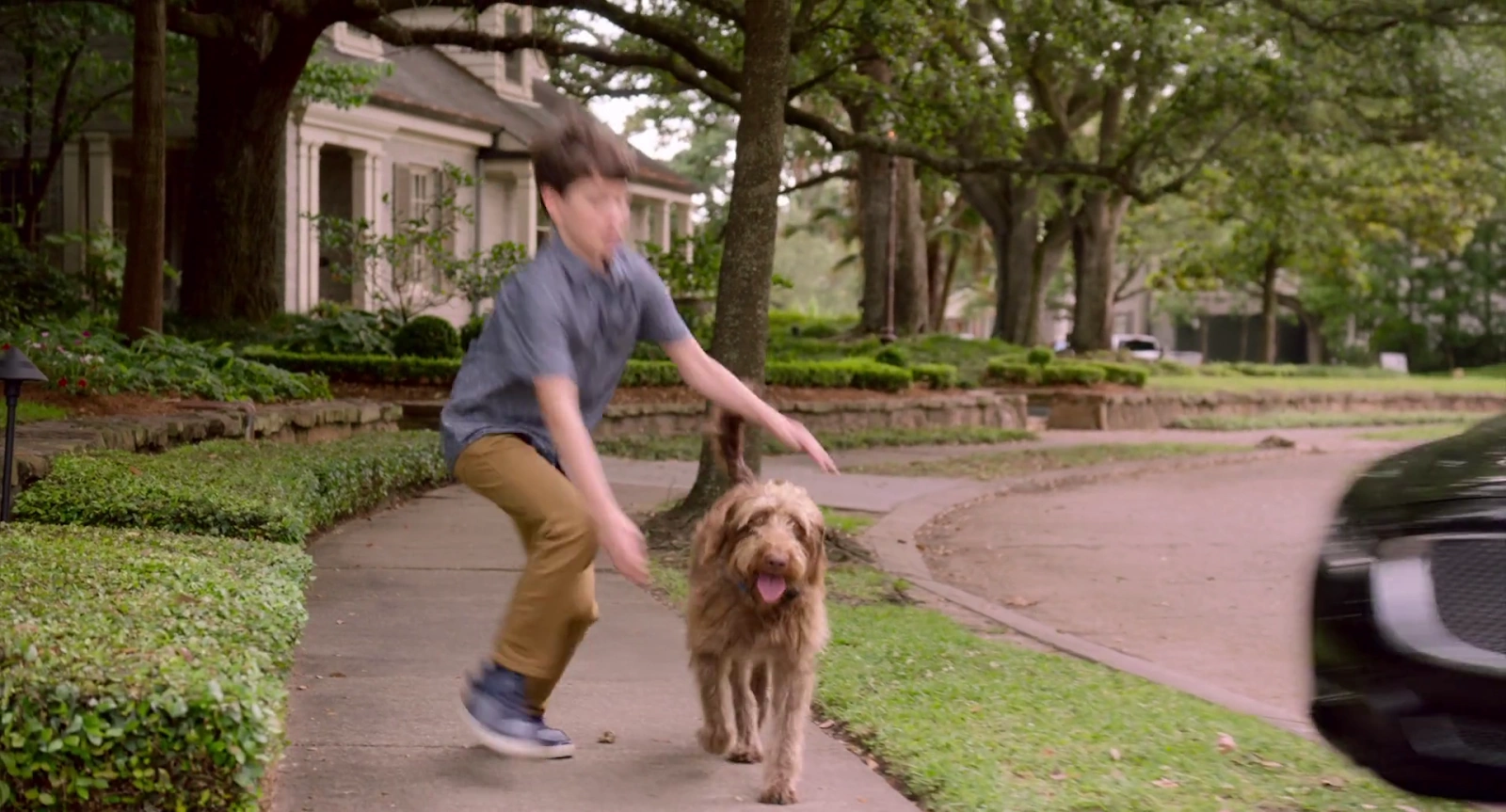 Think Like a Dog screenshot 2
