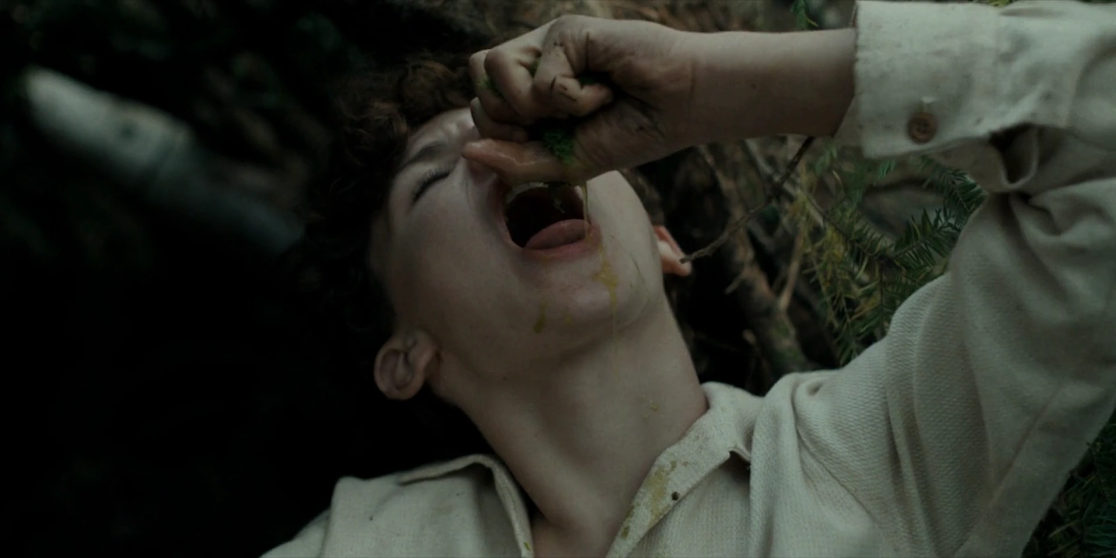 The Boy in the Woods screenshot 1