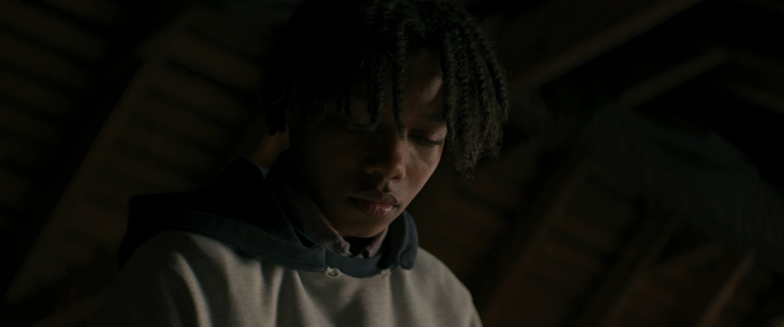 The Woman in the Yard screenshot 5