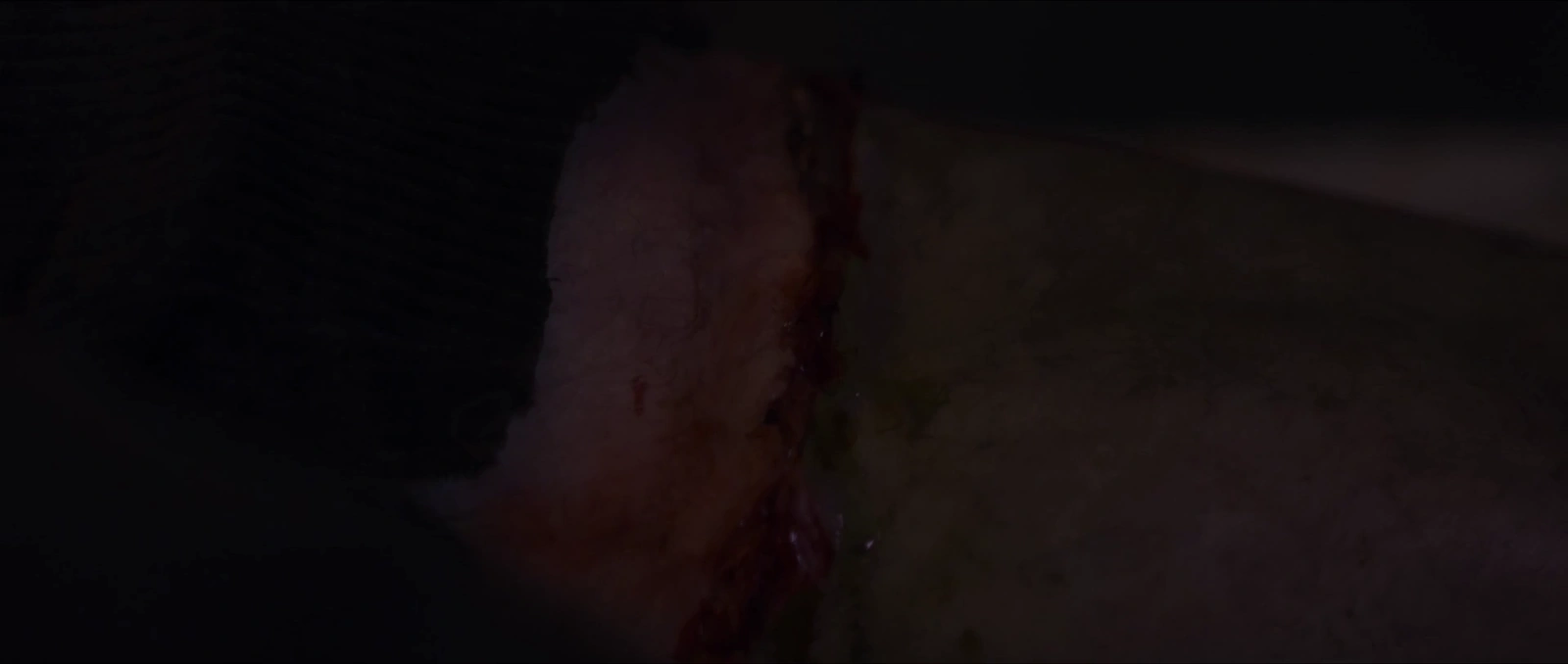 Frankenstein: Legacy screenshot 1
