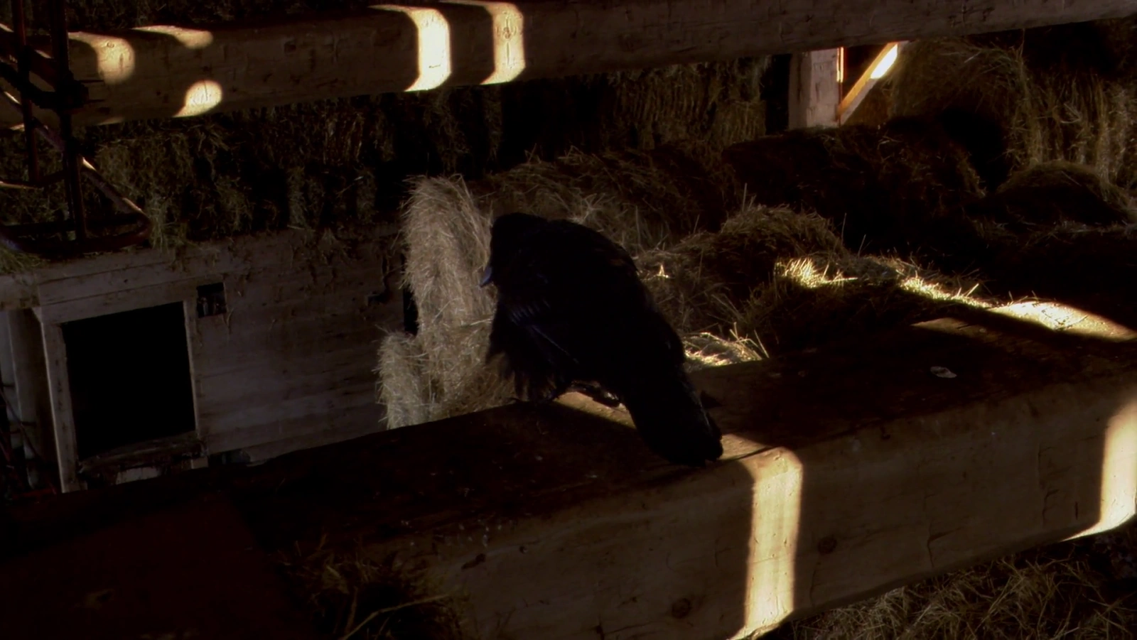 Kaw screenshot 5
