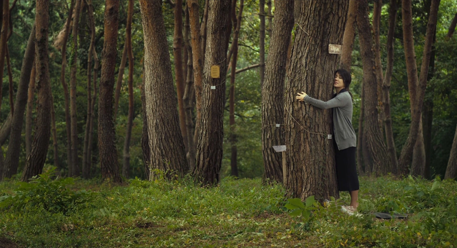 Montage screenshot 3