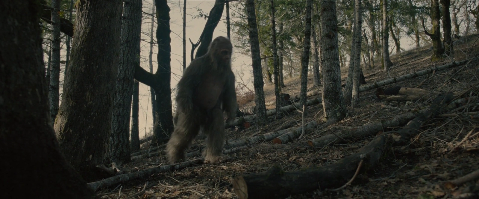 Sasquatch Sunset screenshot 2