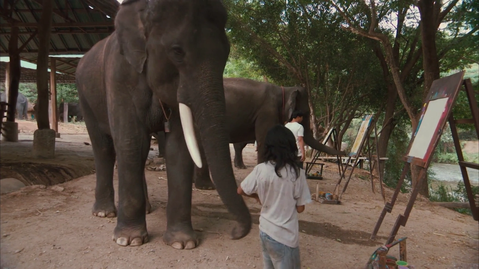 My Lucky Elephant screenshot 2