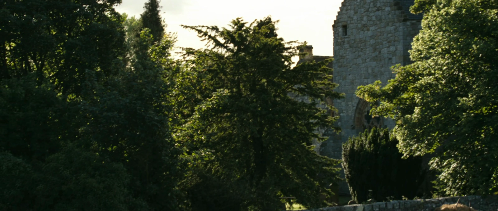 Arn: The Knight Templar screenshot 1