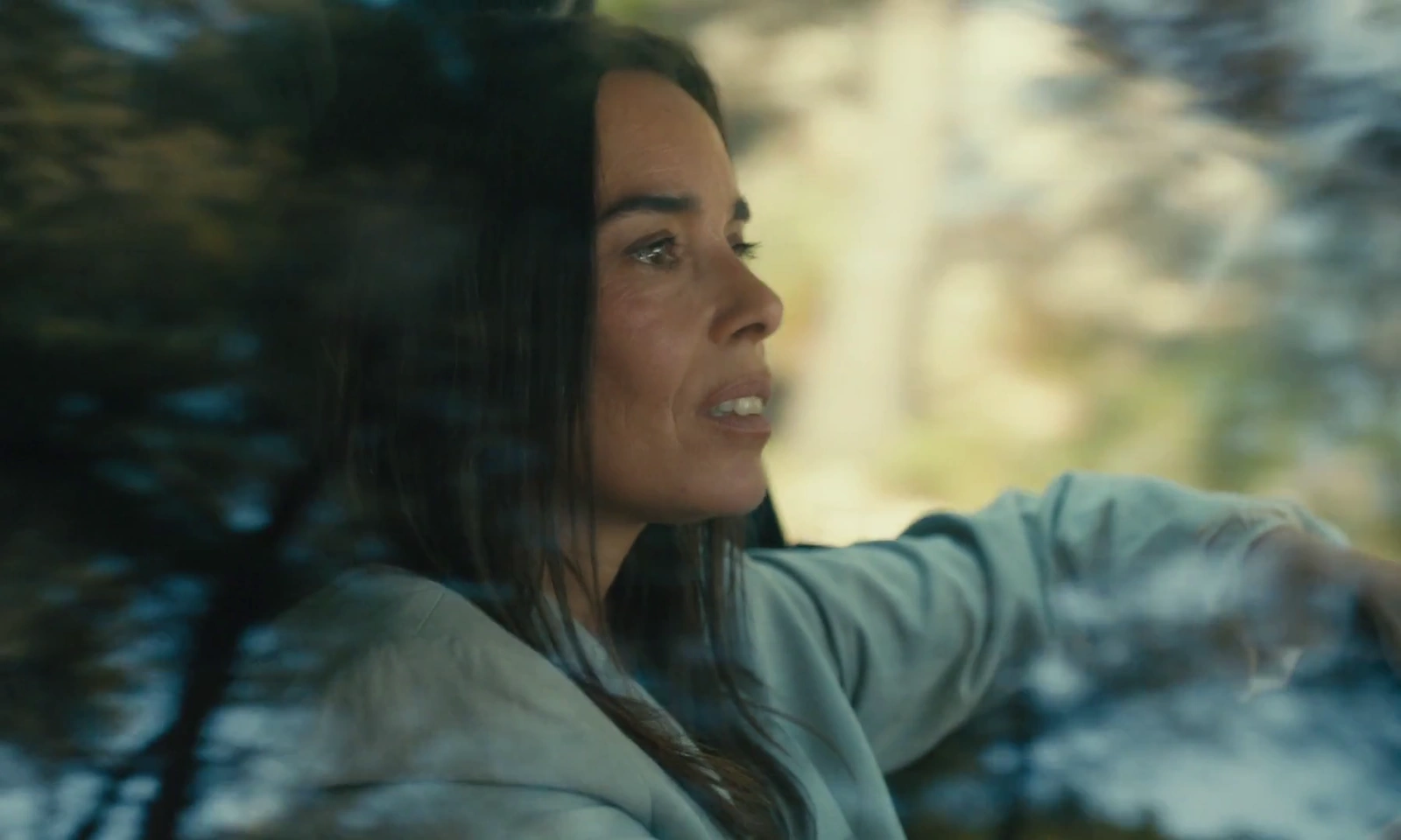 Enzo screenshot 4