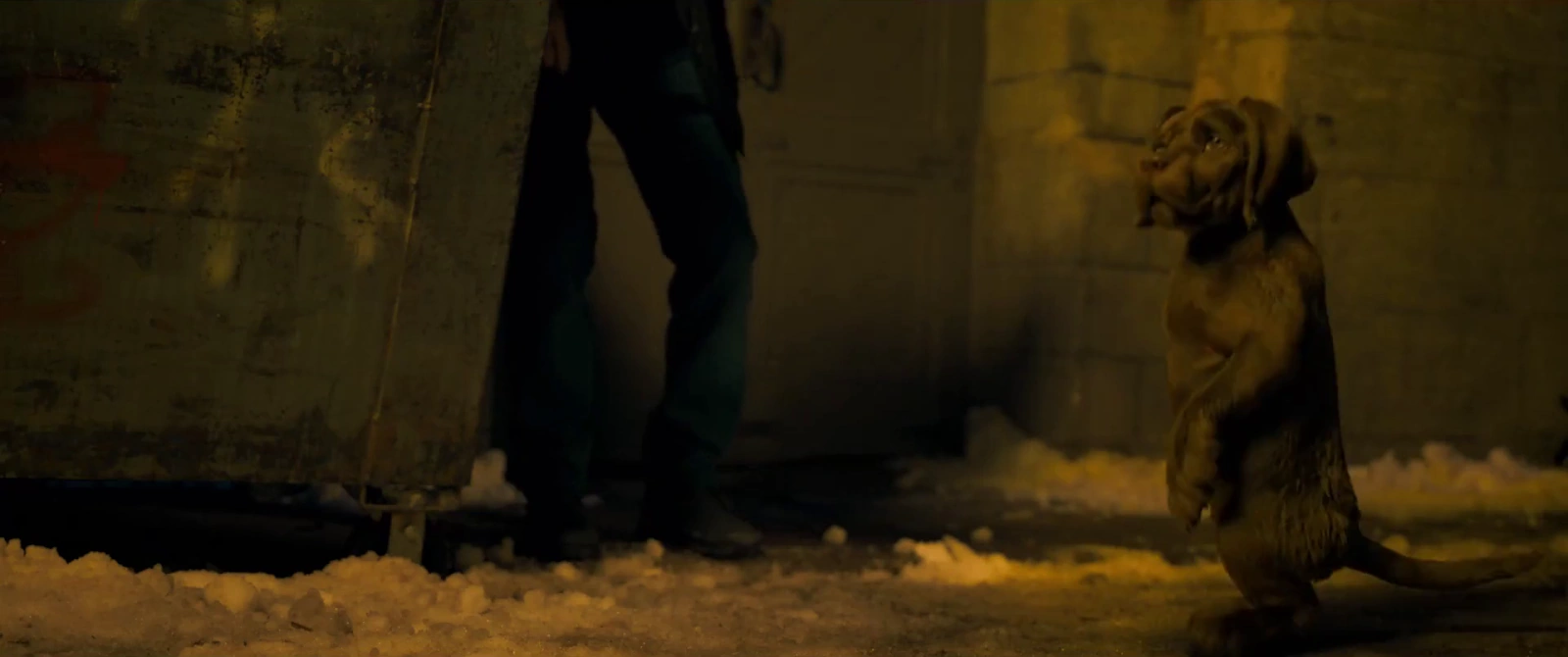 Cat and Dog screenshot 5