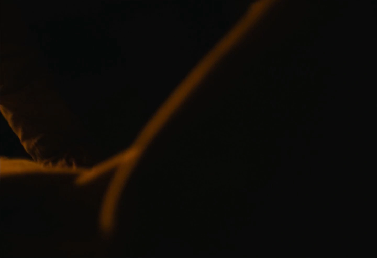 Train Dreams screenshot 3