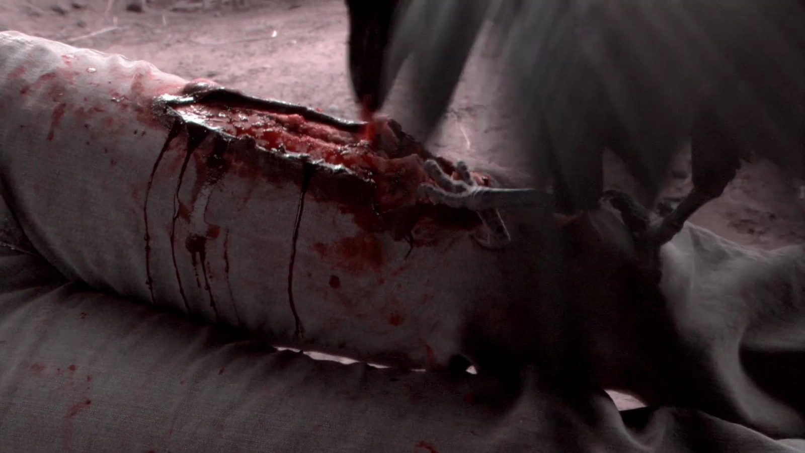 Kaw screenshot 4