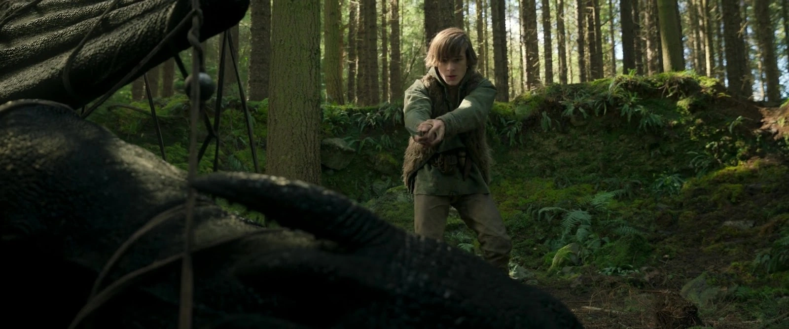 How to Train Your Dragon screenshot 3