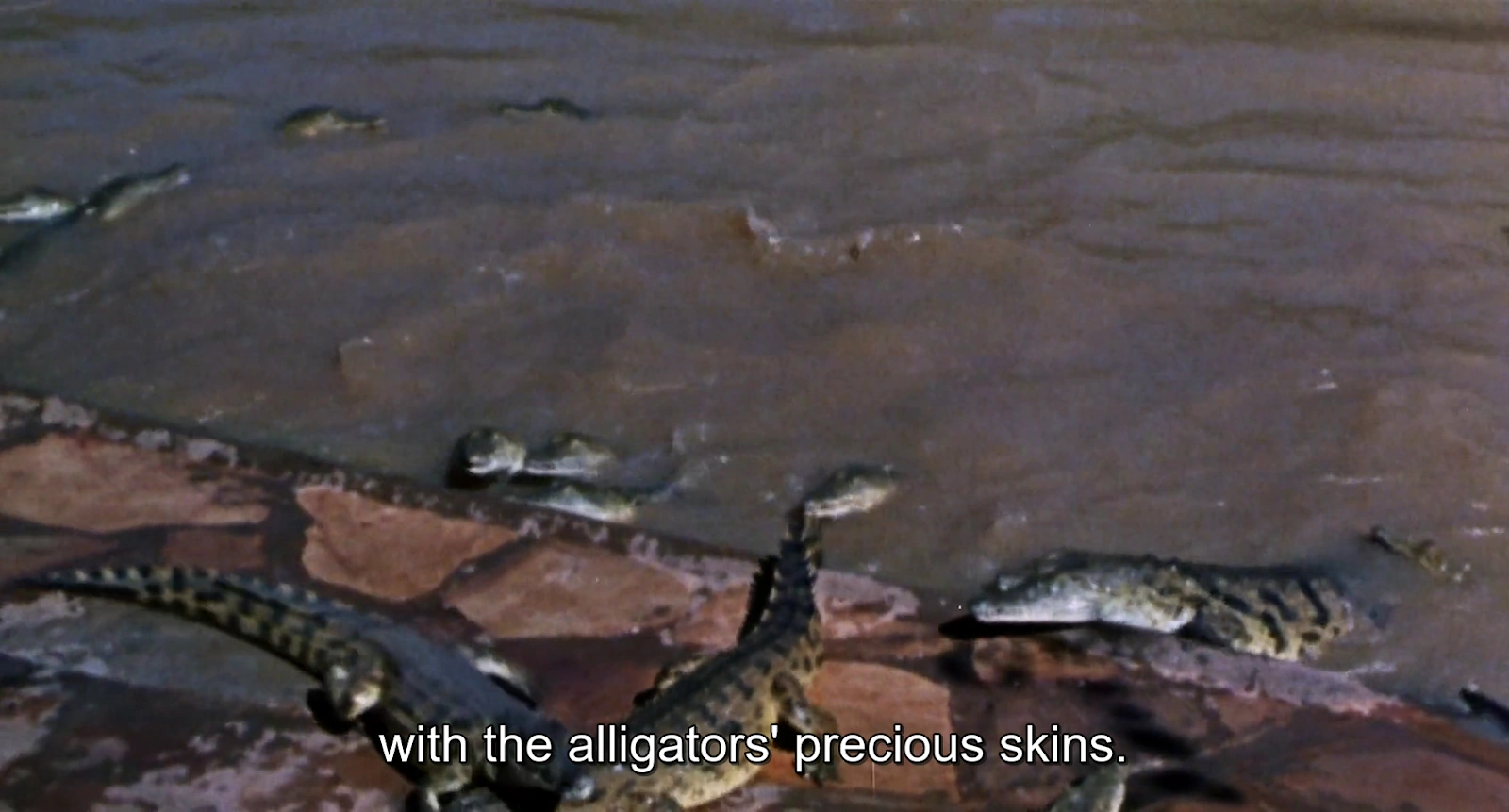 Faces of Death screenshot 3